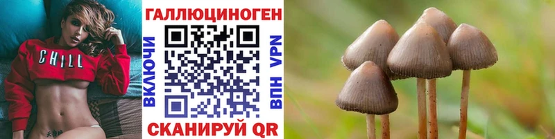 Псилоцибиновые грибы Psilocybe  Владивосток 